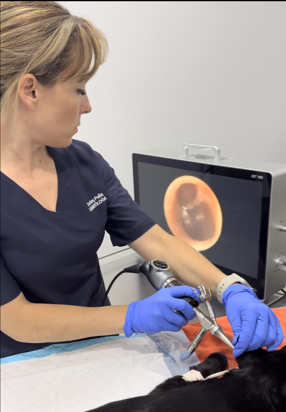 Video otoscopia